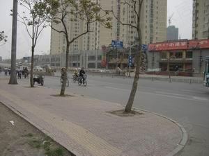 金狮温泉公寓